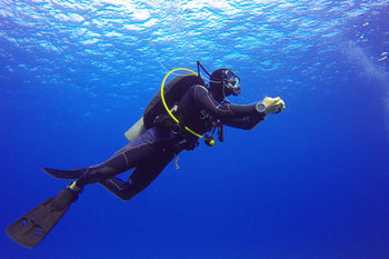 All Diving