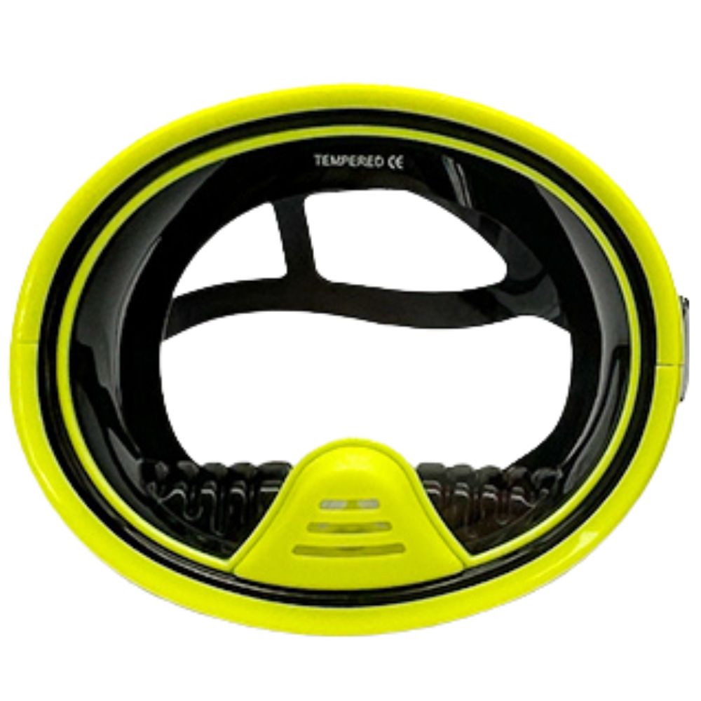 Southern Dolphin Panoramic Purge Mask